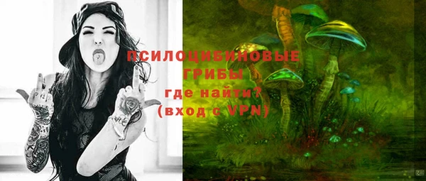 мет Билибино