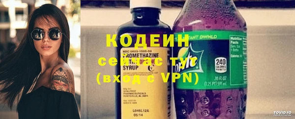тгк Нея