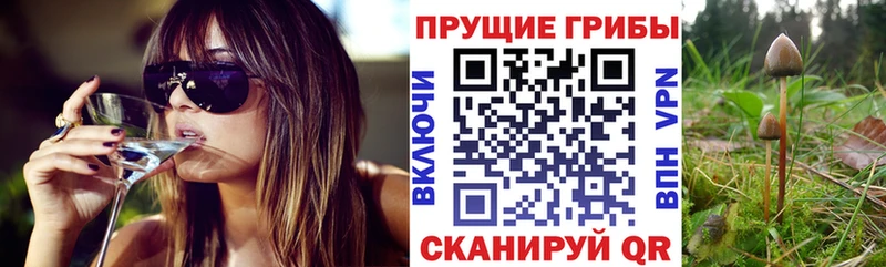 Псилоцибиновые грибы ЛСД  Отрадный 