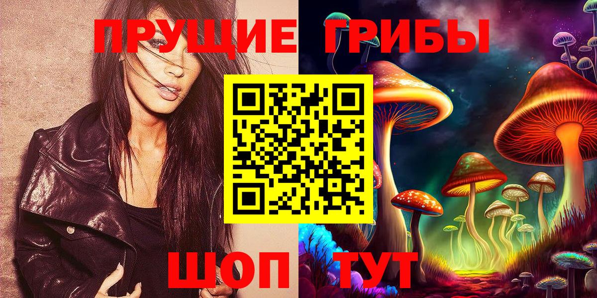 сколько стоит  Псилоцибиновые грибы ЛСД  Отрадный  Вход с VPN  Псилоцибиновые грибы ЛСД 