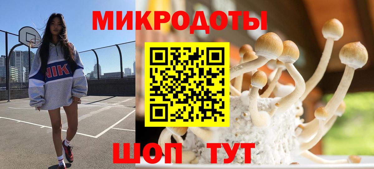Псилоцибиновые грибы ЛСД Отрадный